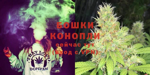 молекула духа Аркадак