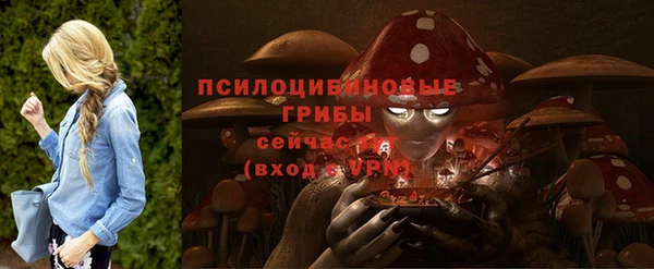 молекула духа Аркадак
